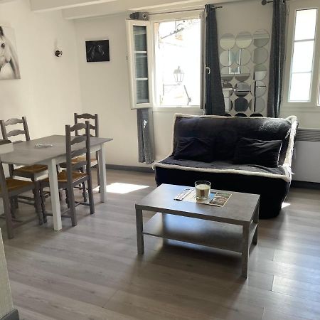Appartement Des Penitents Saintes-Maries-de-la-Mer Dış mekan fotoğraf