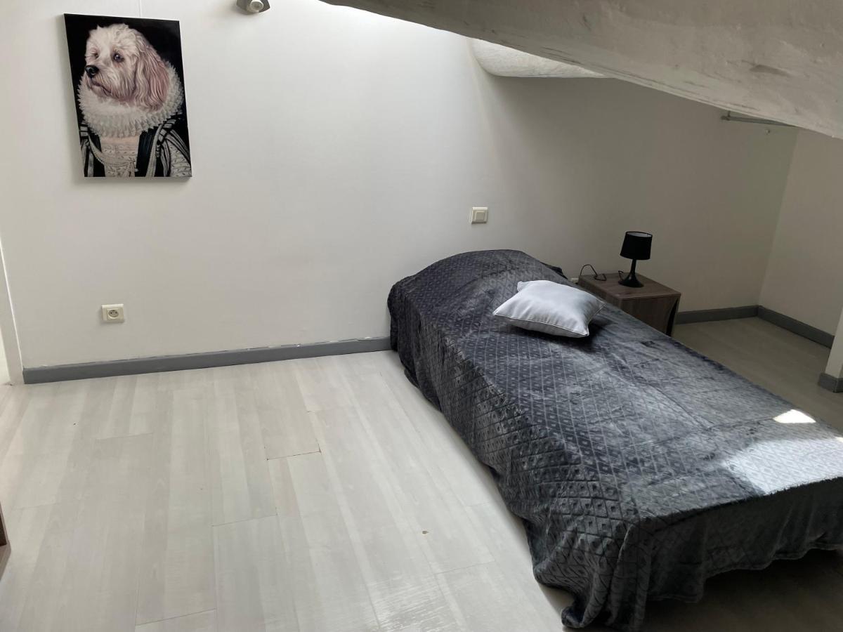 Appartement Des Penitents Saintes-Maries-de-la-Mer Dış mekan fotoğraf
